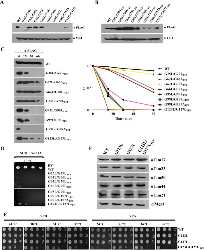 FIG 3