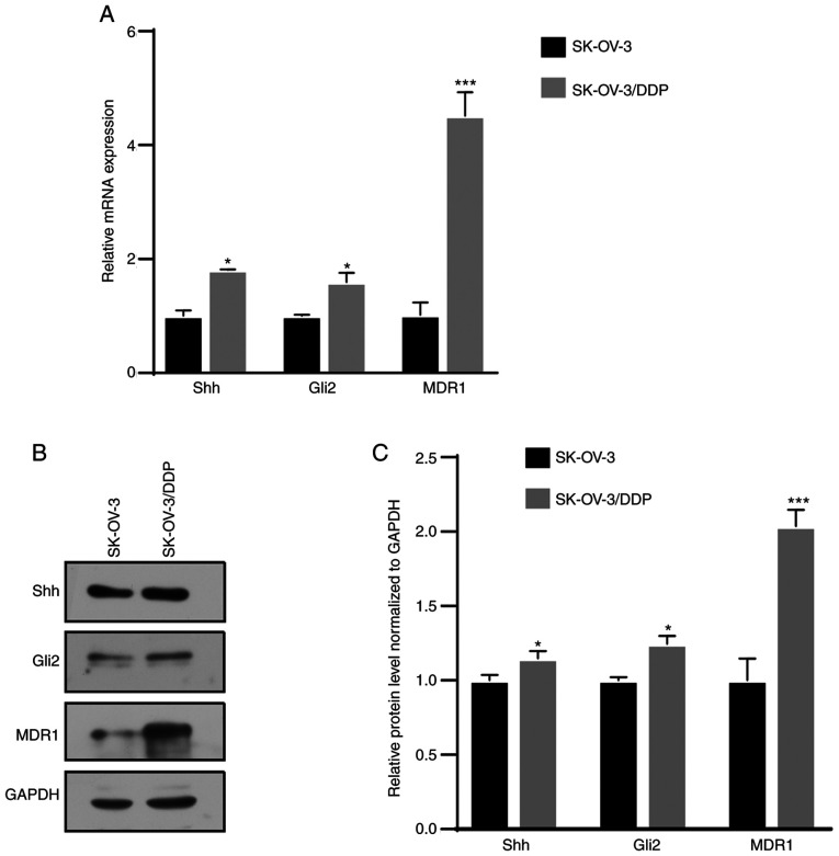 Figure 1.