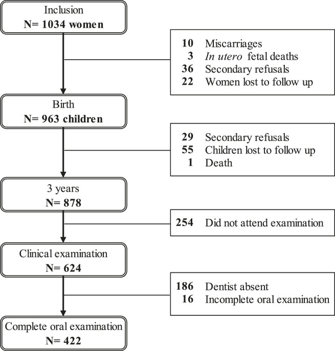 Figure 1. Participation chart.