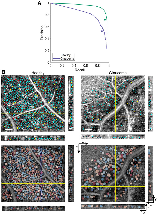 Fig. 4.