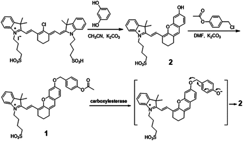 Scheme 1