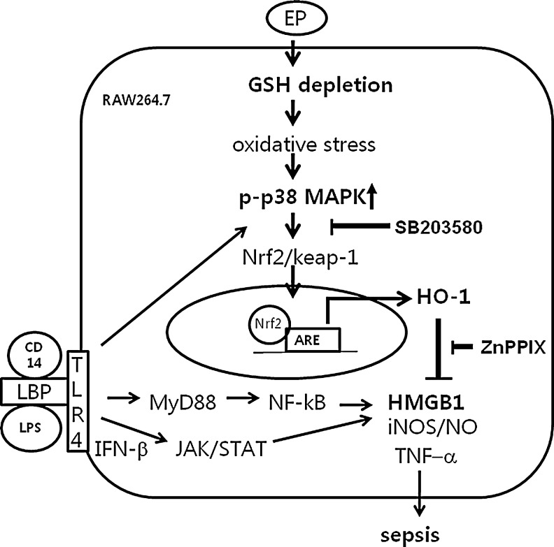 FIG. 9.