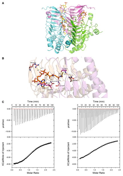 Fig. 4