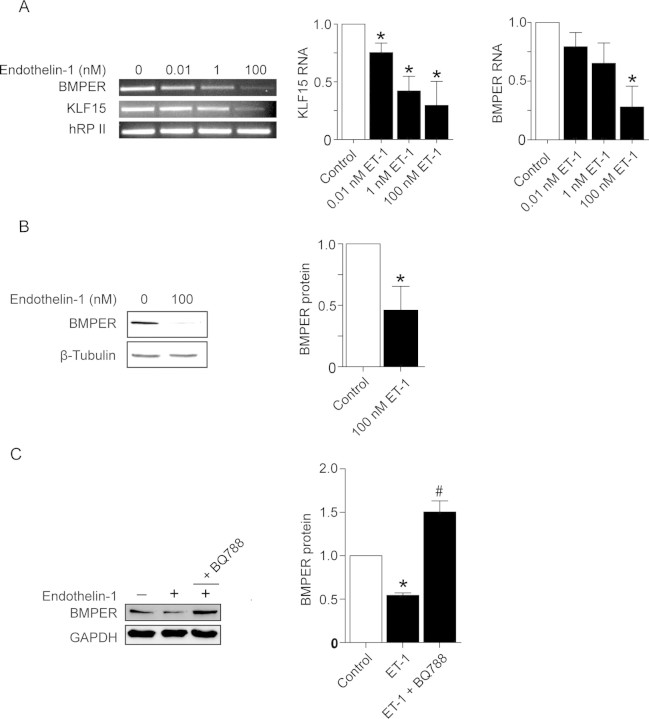 Figure 5