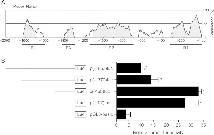 Figure 1