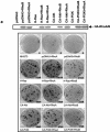 FIG. 4.