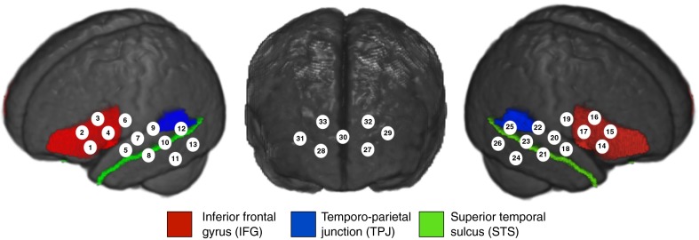 Fig. 5