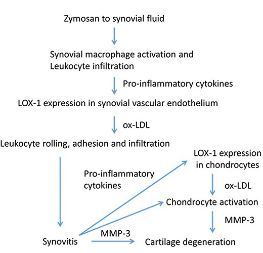 Figure 9.