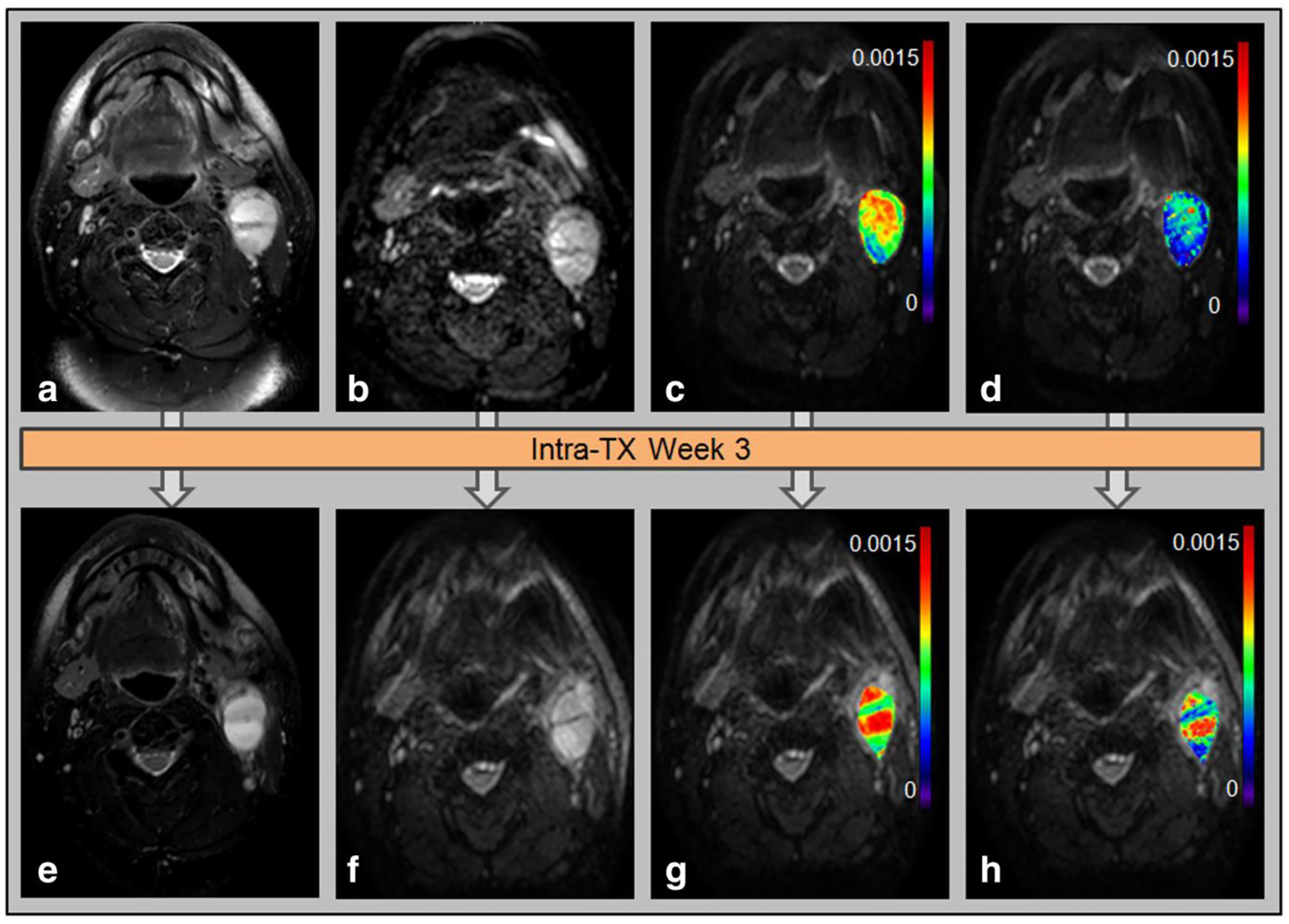 Figure 3: