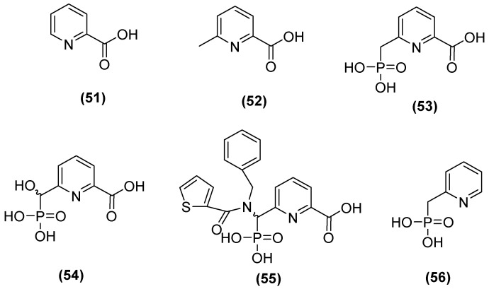 Figure 29