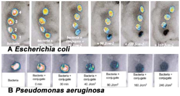 Fig. (12)