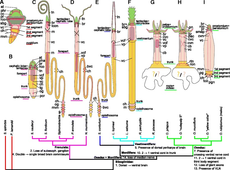 Fig. 11