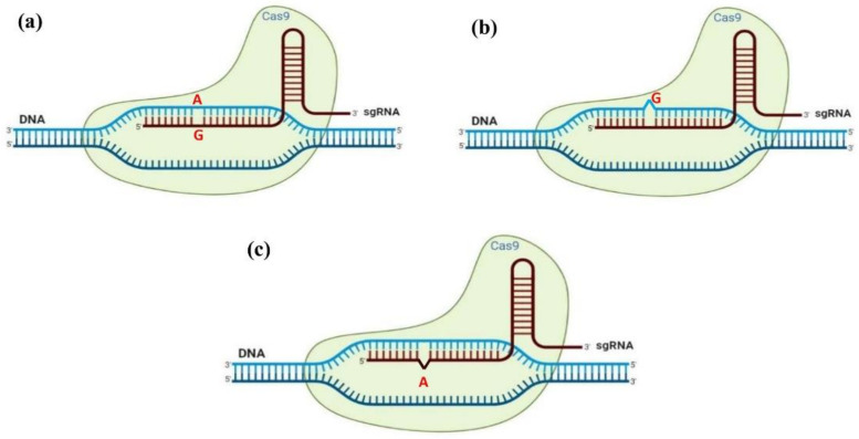 Figure 8