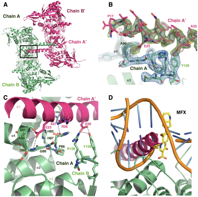 Figure 4