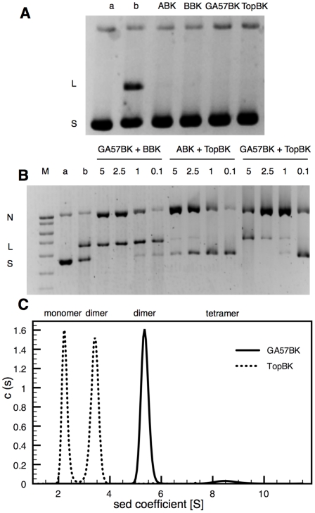 Figure 2