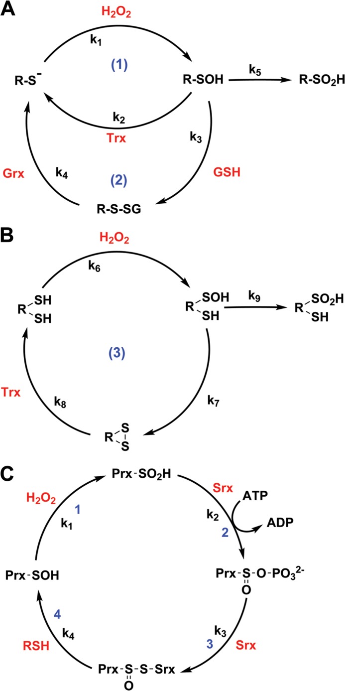 FIGURE 2.