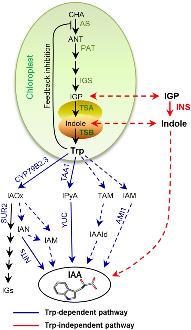 Fig. 6.