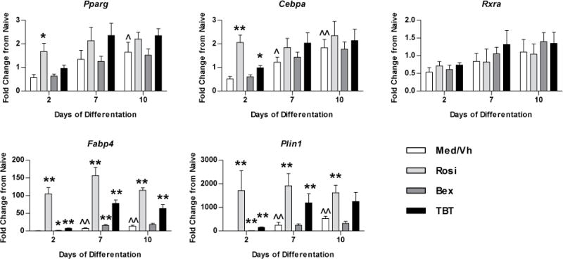 Figure 5