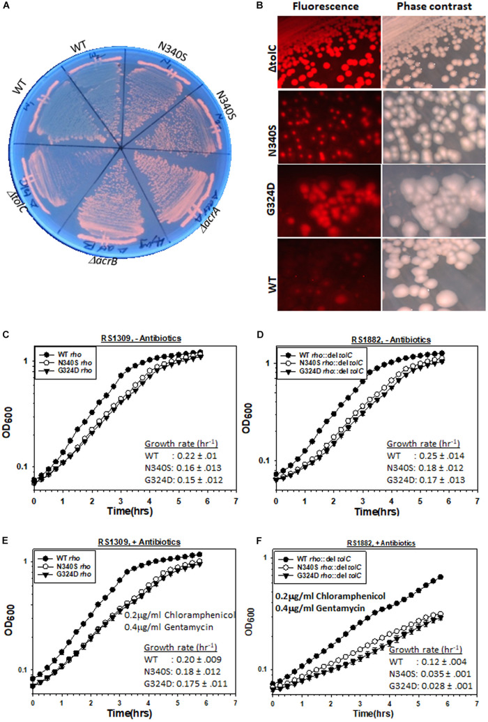 FIGURE 2