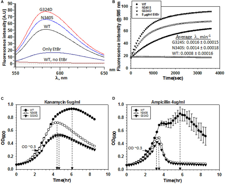 FIGURE 3