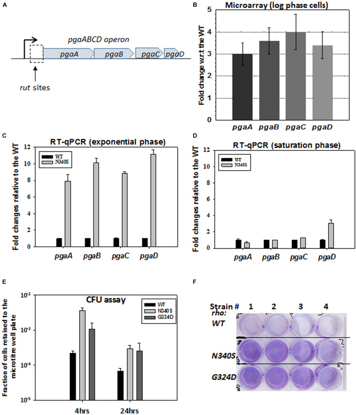 FIGURE 4