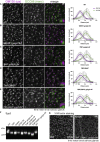 Figure 6