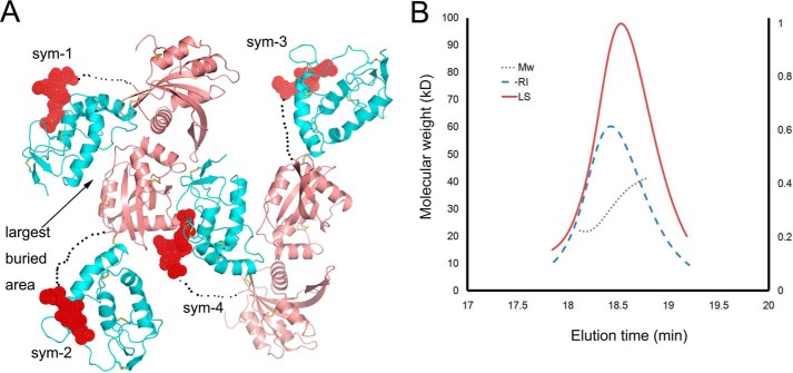 Figure 6.