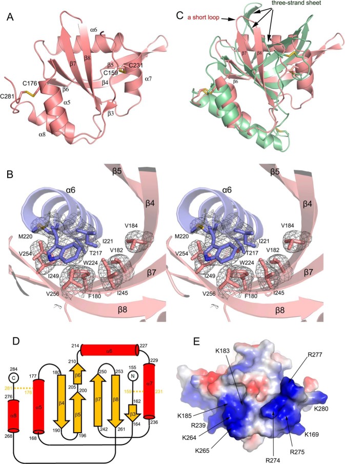 Figure 3.