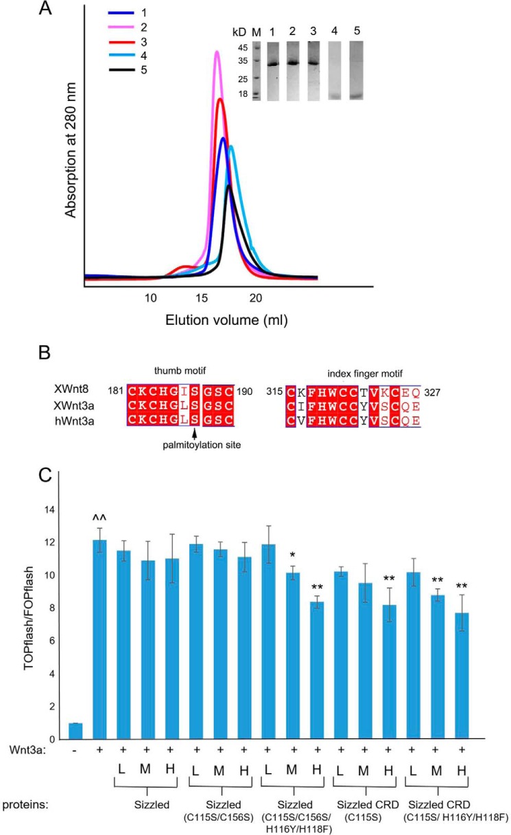 Figure 5.