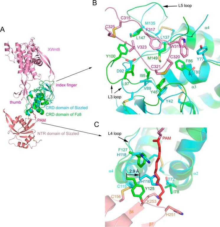 Figure 4.