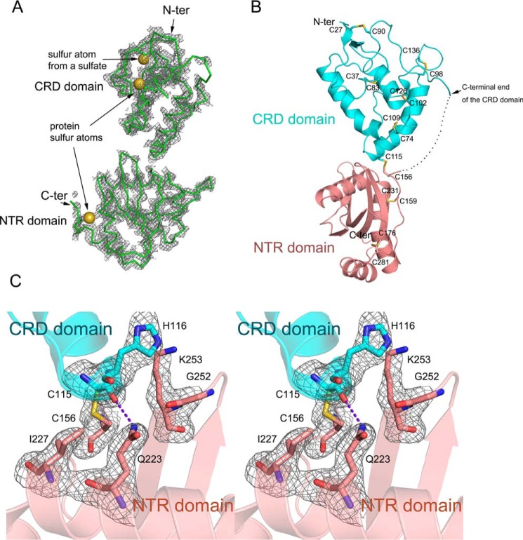 Figure 1.