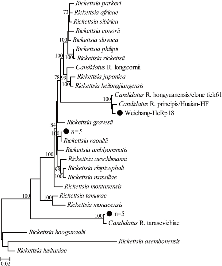 Fig. 2