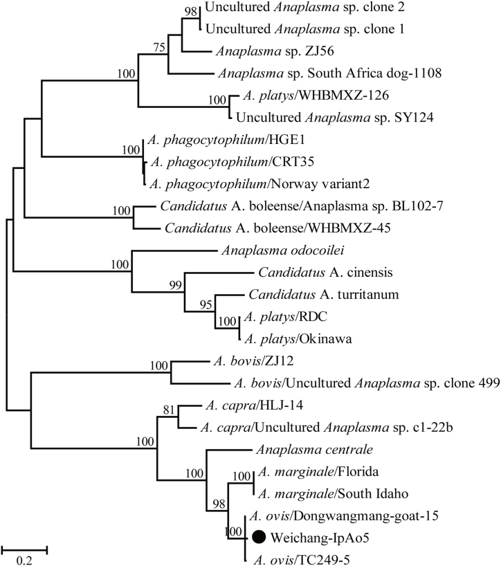 Fig. 1