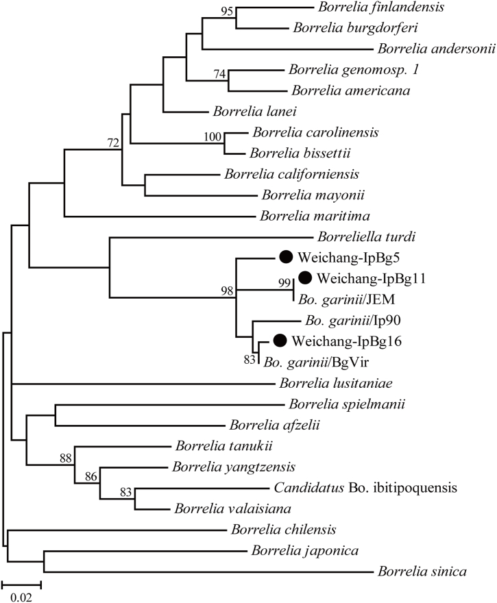 Fig. 3