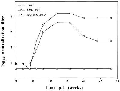 FIG. 5