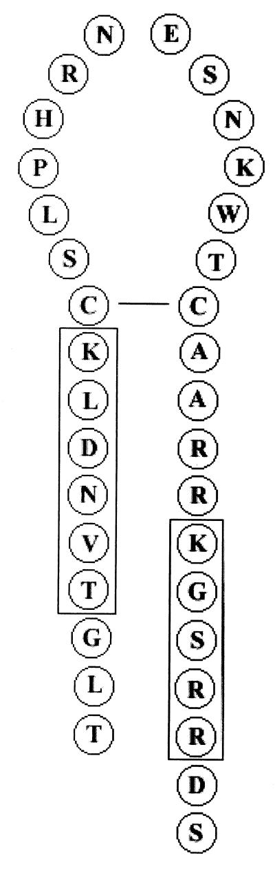 FIG. 11