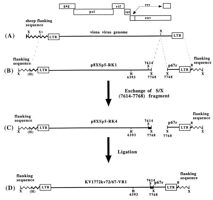 FIG. 1