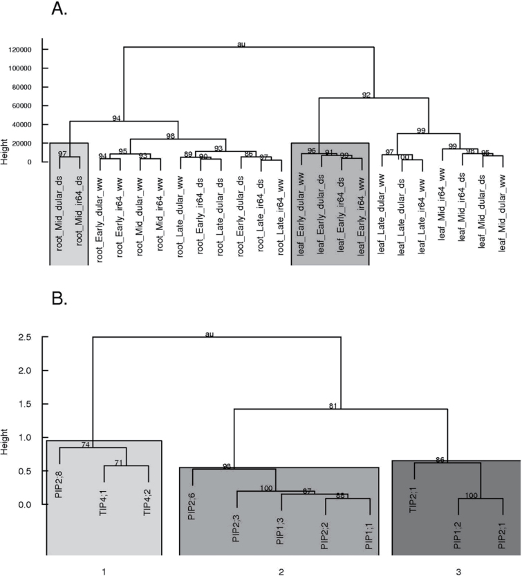 Fig. 5. 