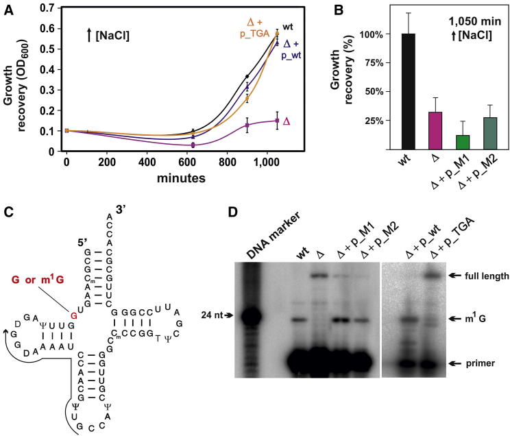 Figure 3