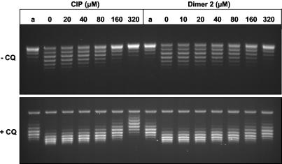 FIG. 7.