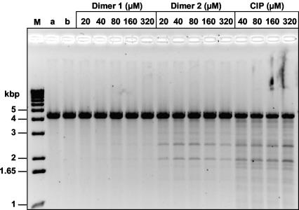 FIG. 6.