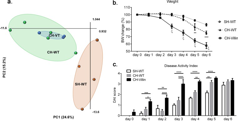 FIG 6