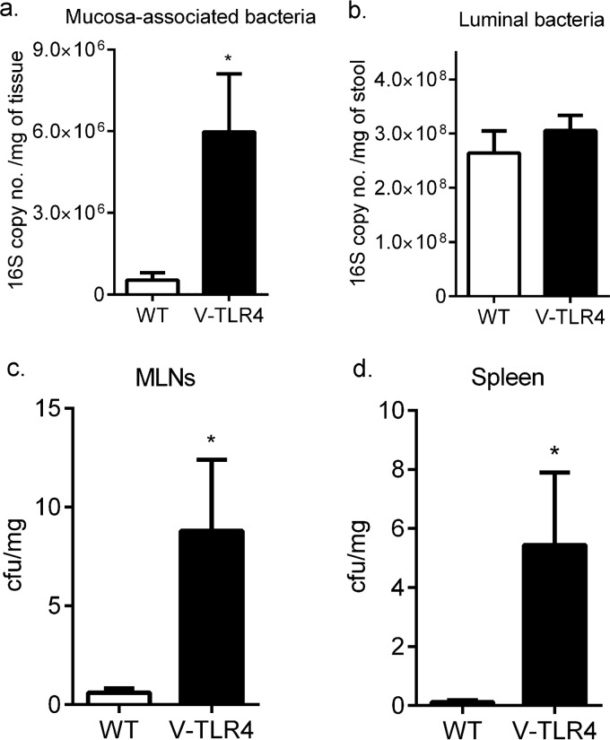 FIG 1