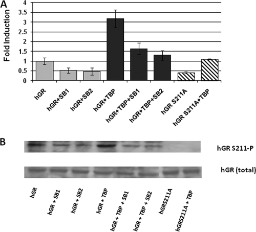 FIG. 9.