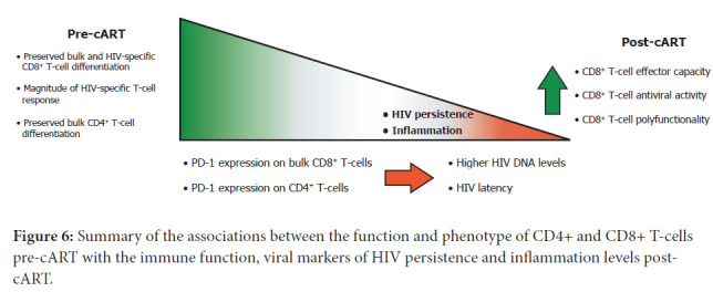 Figure 6: