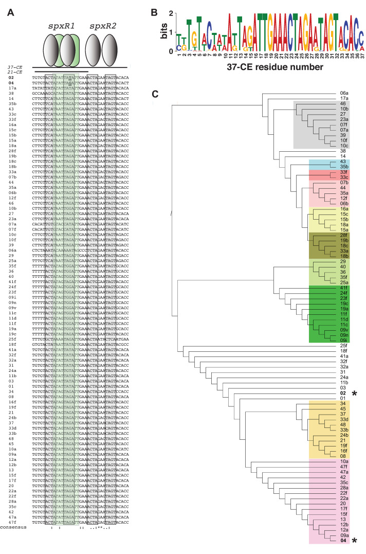 Fig 6