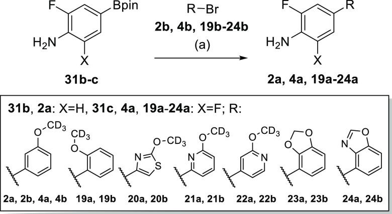 Scheme 4