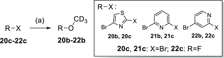 Scheme 5