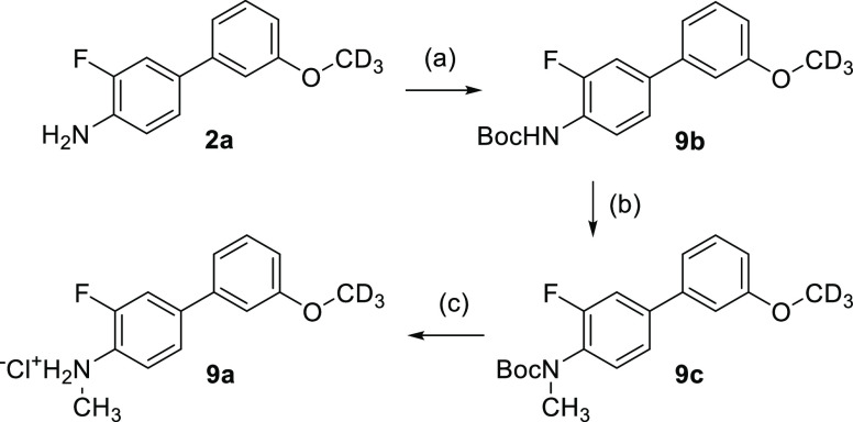 Scheme 7