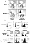 FIG. 2.